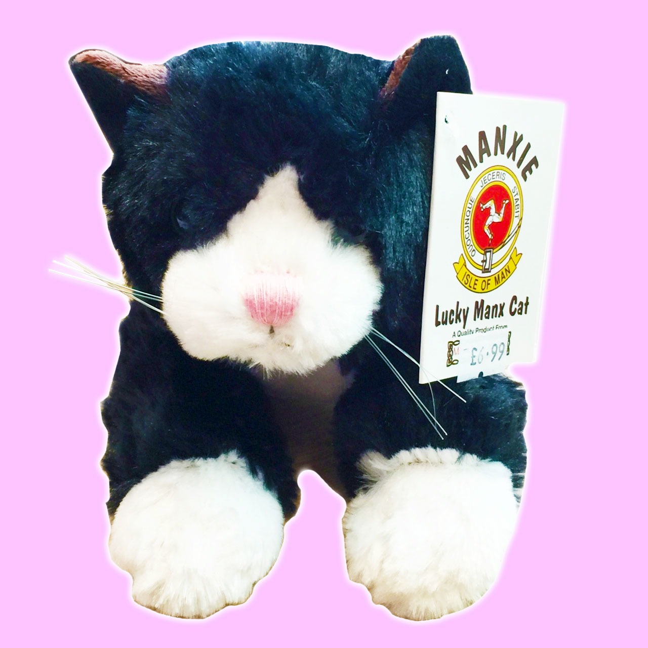 cat cuddly toy